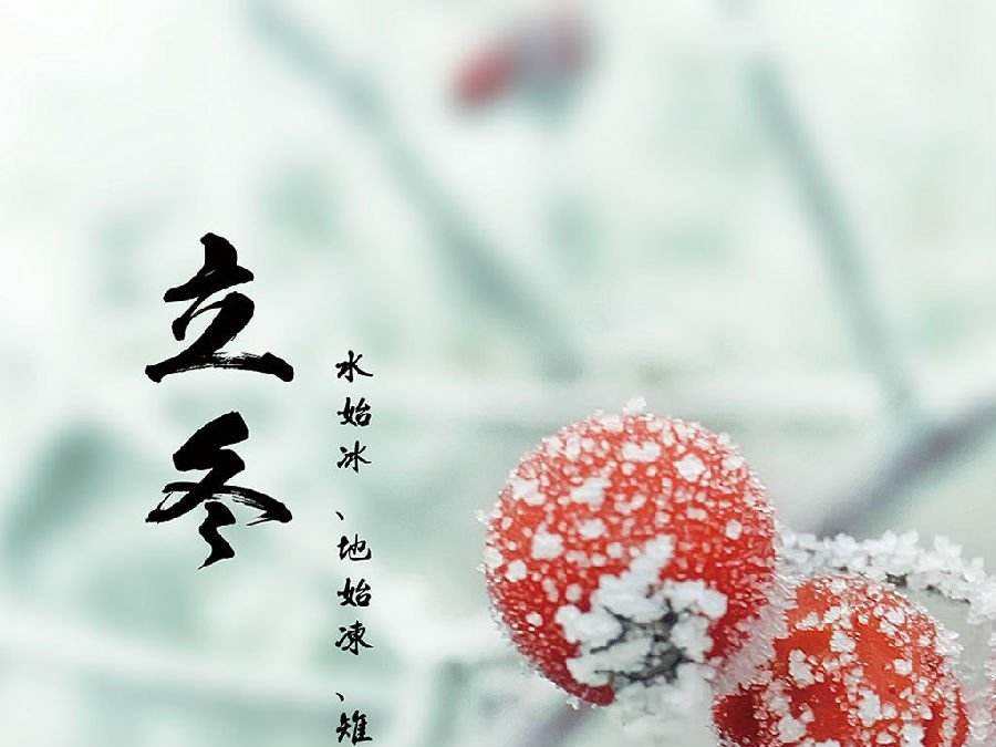 今日立冬，啟睿喊你吃餃子嘍